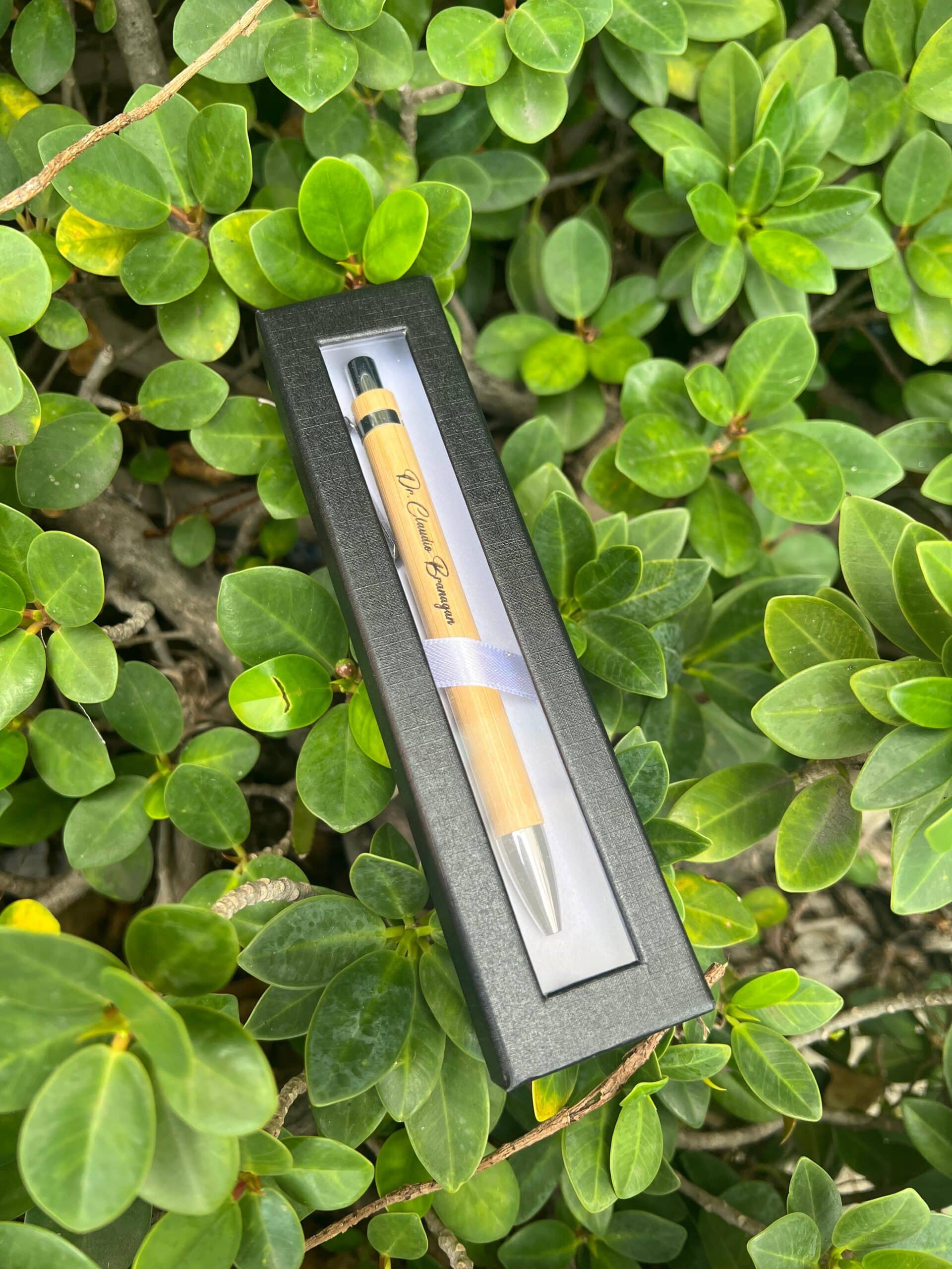 WhatsApp Image 2025-07-23 at 4.39.44 PM