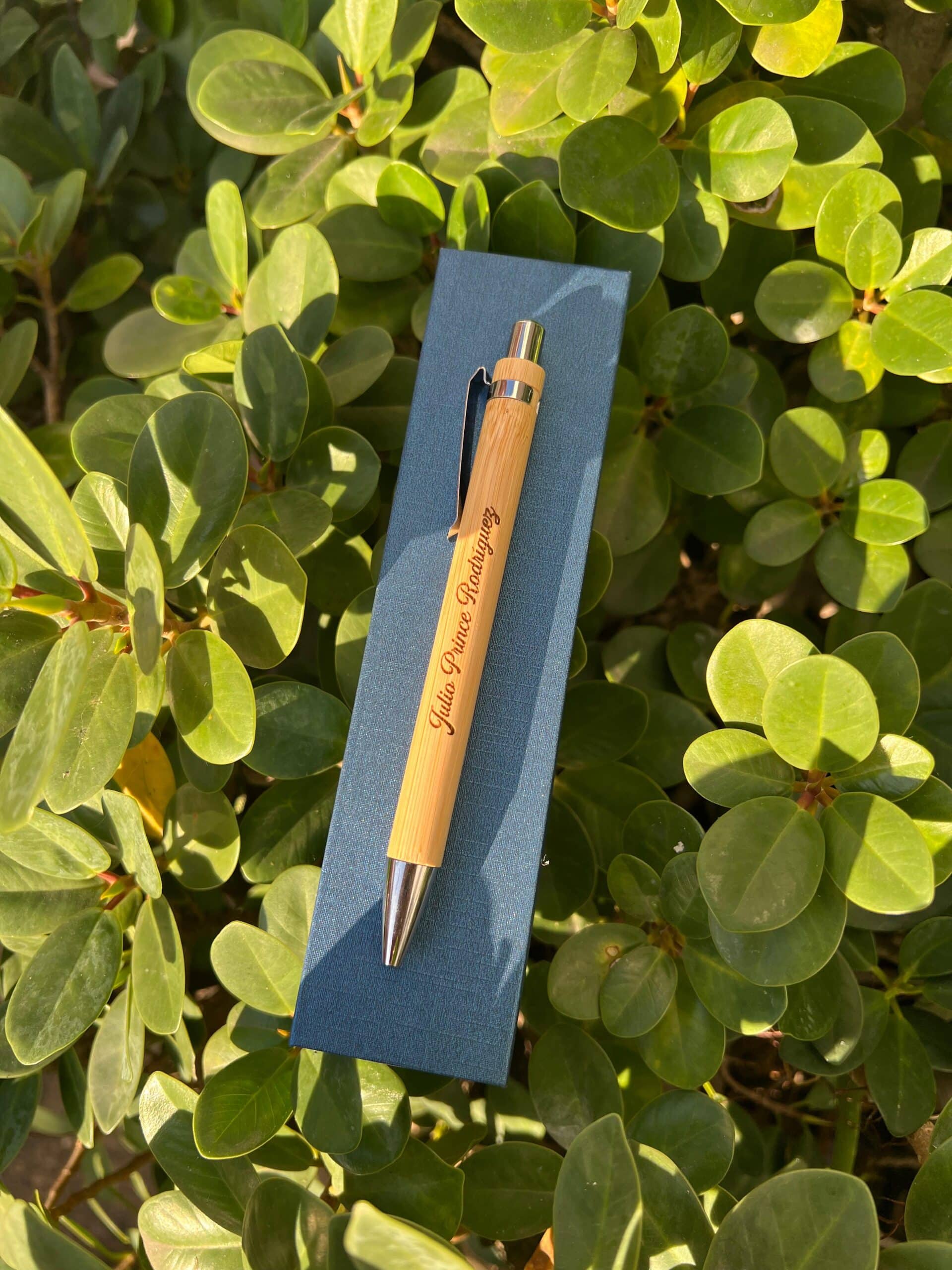 WhatsApp Image 2025-07-23 at 4.41.28 PM